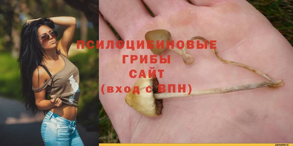 стафф Алексин