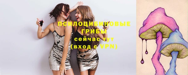 ECSTASY Алзамай