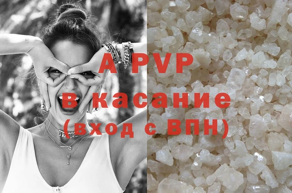 стафф Алексин