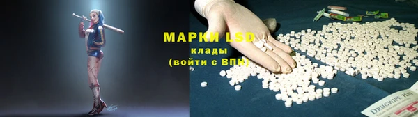 стафф Алексин