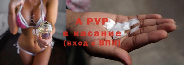 стафф Алексин