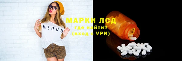 ECSTASY Алзамай