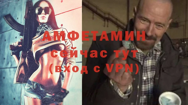 ECSTASY Алзамай