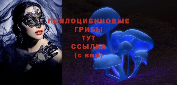 стафф Алексин