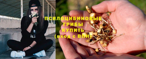 стафф Алексин