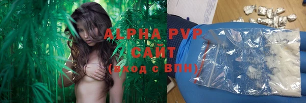 стафф Алексин