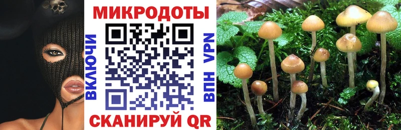 Галлюциногенные грибы мицелий  Боровск 
